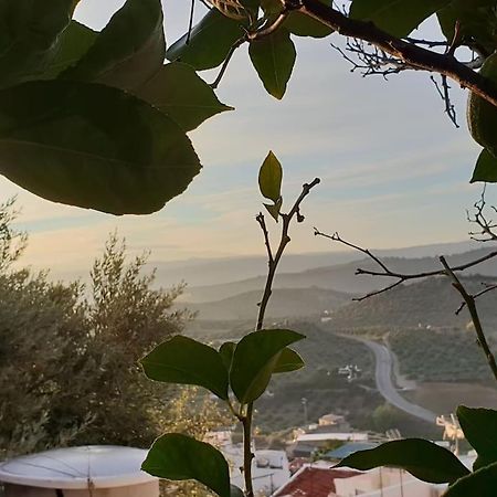 Mirador Del Olivar Olvera Eksteriør billede