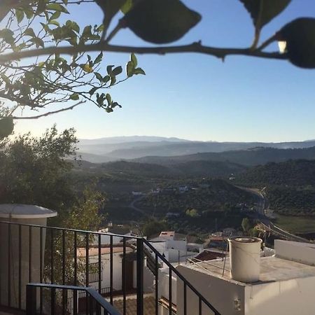 Mirador Del Olivar Olvera Eksteriør billede