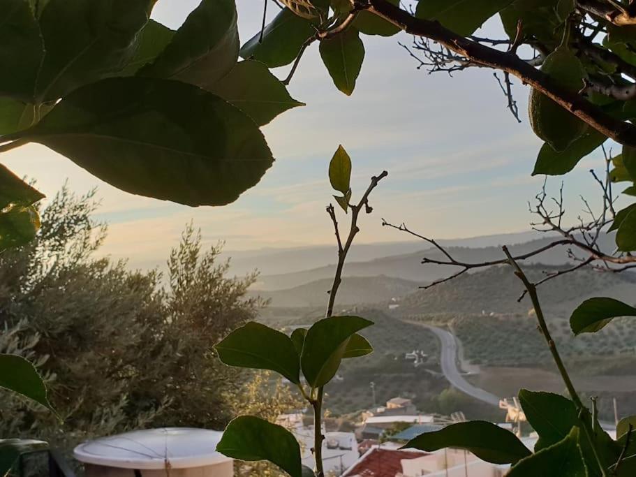 Mirador Del Olivar Olvera Eksteriør billede