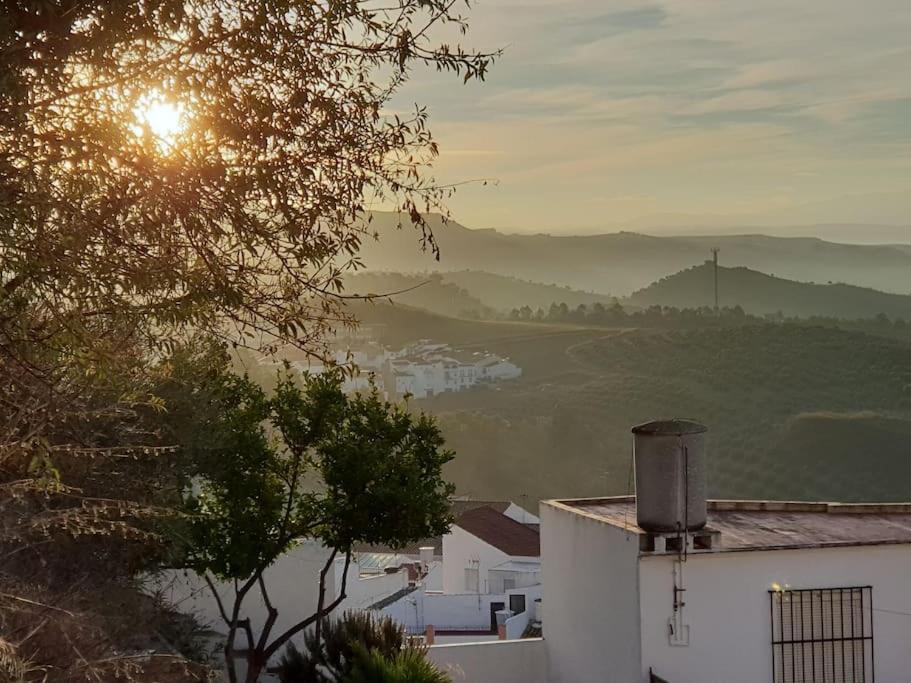 Mirador Del Olivar Olvera Eksteriør billede